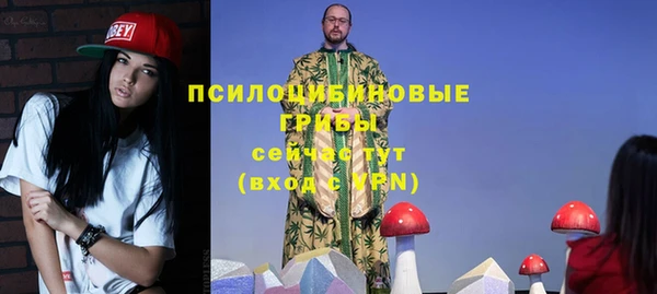 тгк Алексин