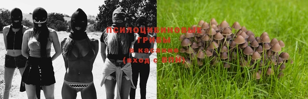 МДПВ Алзамай