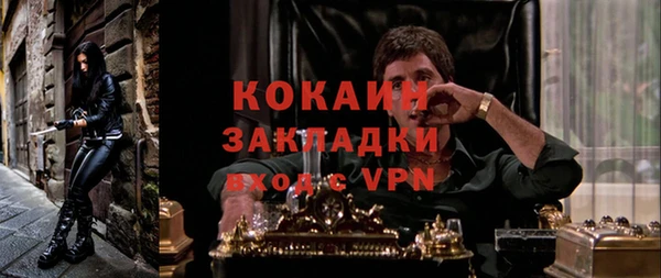 МДПВ Алзамай