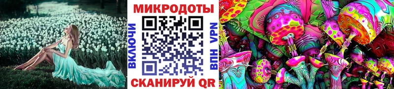 Галлюциногенные грибы MAGIC MUSHROOMS  MEGA как войти  Новозыбков 